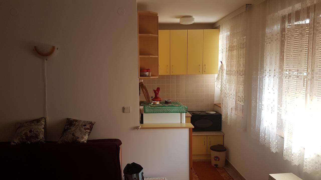 "Paradize" Apartmant Vrnjačka Banja Kültér fotó